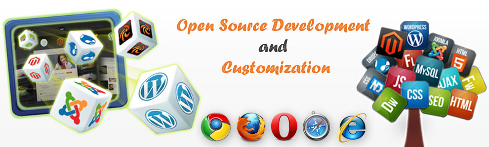 wordpress website development